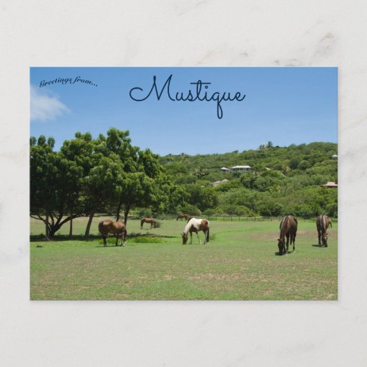 Carte Postale Chevaux de pâturage en musique (Devant)