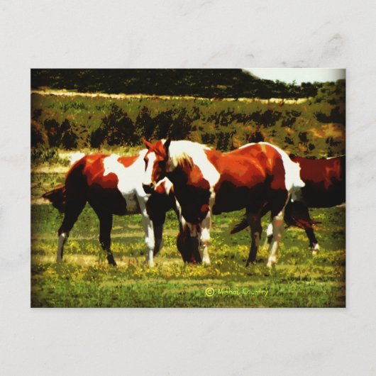 Carte Postale Chevaux de peinture (Devant)