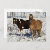 Carte Postale Chevaux de peinture dans la neige (Devant / Derrière)