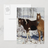 Carte Postale Chevaux de peinture dans la neige (Devant / Derrière)