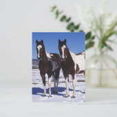 Carte Postale Chevaux de peinture debout dans la neige (Debout devant)