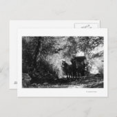 Carte Postale Chevaux de transport en panne (Devant / Derrière)