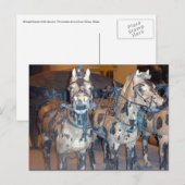 Carte Postale chevaux de xi'an (Devant / Derrière)