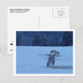 Carte postale Chevaux d'hiver bleu (Devant / Derrière)