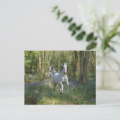 Carte Postale Chevaux d'Imaginaire : Bois de Bluebell (Debout devant)