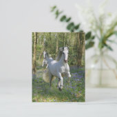 Carte Postale Chevaux d'Imaginaire : Bois de Bluebell (Debout devant)