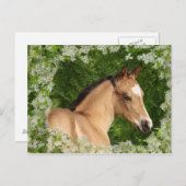 Carte Postale Chevaux d'Imaginaire : Fleurs (Devant / Derrière)