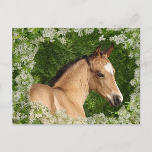 Carte Postale Chevaux d'Imaginaire : Fleurs (Devant)