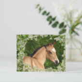 Carte Postale Chevaux d'Imaginaire : Fleurs (Debout devant)