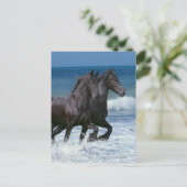 Carte Postale Chevaux d'Imaginaire : Friesians & Sea (Debout devant)
