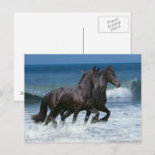 Carte Postale Chevaux d'Imaginaire : Friesians & Sea (Devant / Derrière)