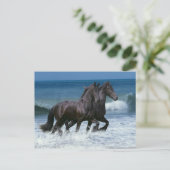 Carte Postale Chevaux d'Imaginaire : Friesians & Sea (Debout devant)