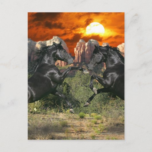 Carte Postale Chevaux d'Imaginaire : Magie noire (Devant)