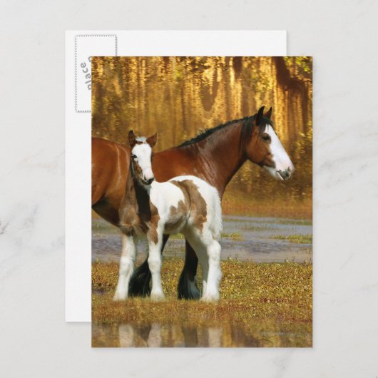 Carte Postale Chevaux d'Imaginaire : Mare & Foal (Devant / Derrière)