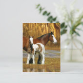 Carte Postale Chevaux d'Imaginaire : Mare & Foal (Debout devant)
