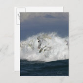 Carte Postale Chevaux d'imaginaire : Mer (Devant / Derrière)