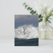 Carte Postale Chevaux d'imaginaire : Mer (Debout devant)