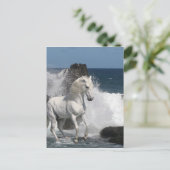 Carte Postale Chevaux d'Imaginaire : Mer du Sud (Debout devant)