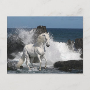 Carte Postale Chevaux d'Imaginaire : Mer du Sud