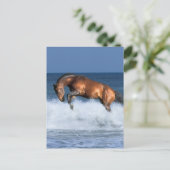 Carte Postale Chevaux d'Imaginaire : Selle Francais & Mer (Debout devant)