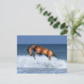 Carte Postale Chevaux d'Imaginaire : Selle Francais & Mer (Debout devant)