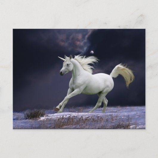 Carte Postale Chevaux d'Imaginaire : Unicorne (Devant)