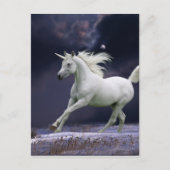 Carte Postale Chevaux d'Imaginaire : Unicorne (Devant)