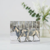 Carte Postale Chevaux d'Imaginaire : Wonderland d'hiver (Debout devant)