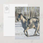 Carte Postale Chevaux d'Imaginaire : Wonderland d'hiver (Devant / Derrière)