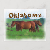 Carte Postale Chevaux d'Oklahoma 2 (Devant)