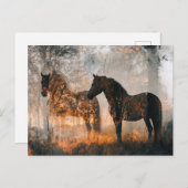 Carte Postale Chevaux Double exposition (Devant / Derrière)