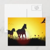Carte Postale chevaux du matin (Devant / Derrière)