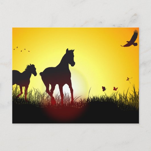 Carte Postale chevaux du matin (Devant)