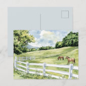 Carte Postale Chevaux du Ranch Green Pastures (Devant / Derrière)