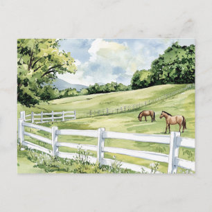 Carte Postale Chevaux du Ranch Green Pastures