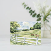 Carte Postale Chevaux du Ranch Green Pastures (Debout devant)