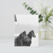 Carte Postale Chevaux en chute de neige (Debout devant)