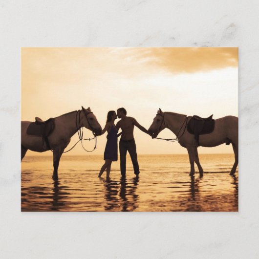 Carte Postale Chevaux en couple (Devant)