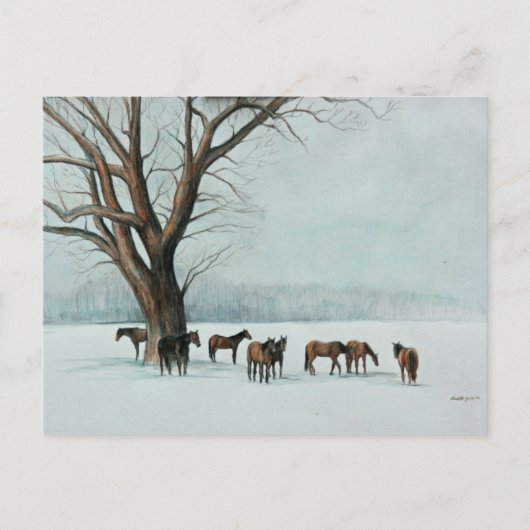Carte postale "Chevaux en neige" (Devant)
