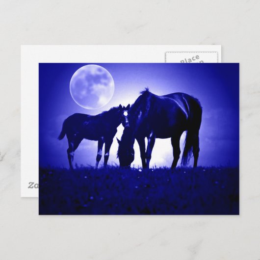 Carte Postale Chevaux en Nuit Bleue (Devant / Derrière)