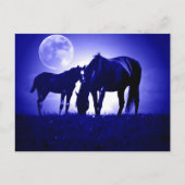 Carte Postale Chevaux en Nuit Bleue (Devant)
