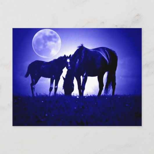 Carte Postale Chevaux en Nuit Bleue (Devant)