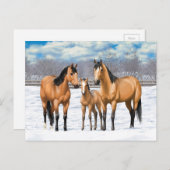 Carte Postale Chevaux En Peau De Bouche En Neige (Devant / Derrière)