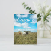 Carte Postale Chevaux en Uruguay (Debout devant)