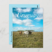 Carte Postale Chevaux en Uruguay (Devant / Derrière)
