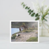 Carte Postale chevaux et chien (Debout devant)