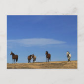 Carte Postale Chevaux et ciel (Devant)