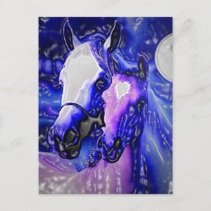Carte Postale Chevaux et nuit