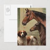 Carte Postale Chevaux et St Bernard Art Vintage (Devant / Derrière)