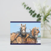 Carte Postale Chevaux Haflinger (Debout devant)